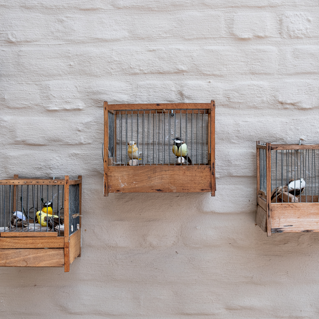 Grid gallery image